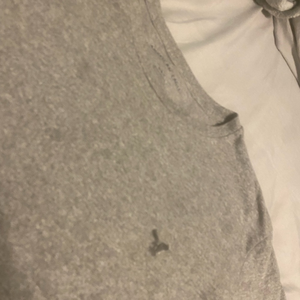 A grey Hollister Co shirt